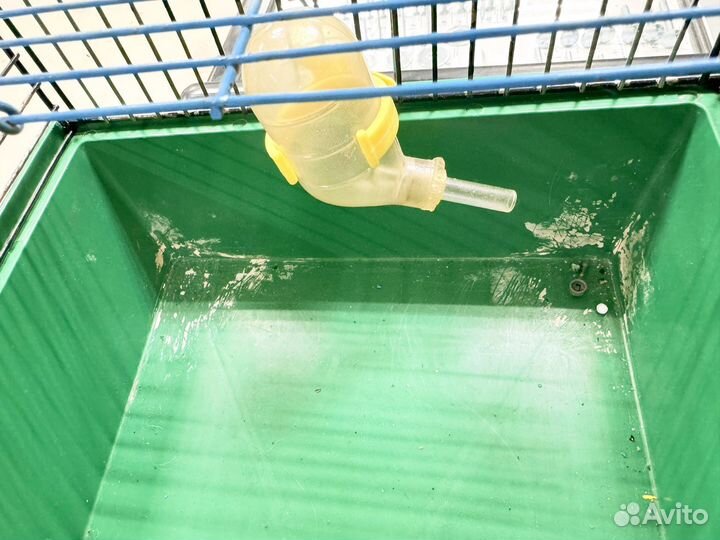 Клетка для грызунов бу