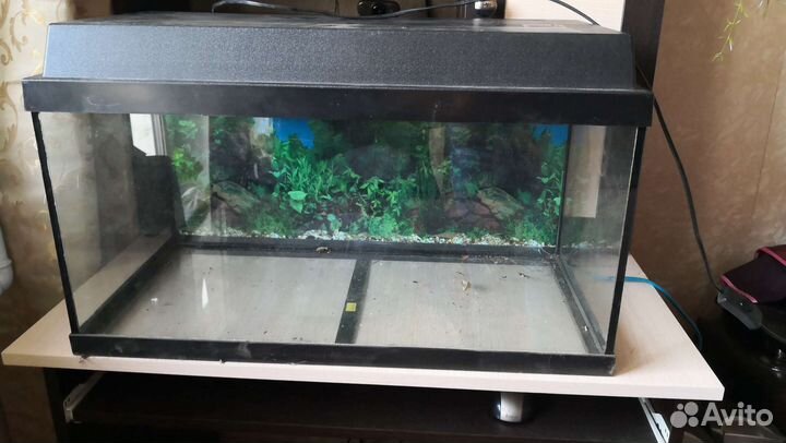 Аквариум 60 литров