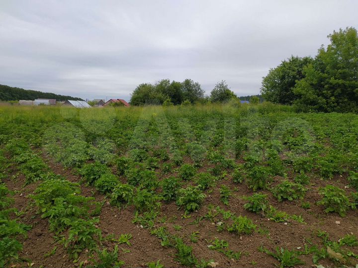 Участок 37 сот. (ИЖС)