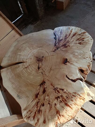 Спилы дерева