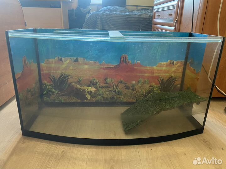 Аквариум