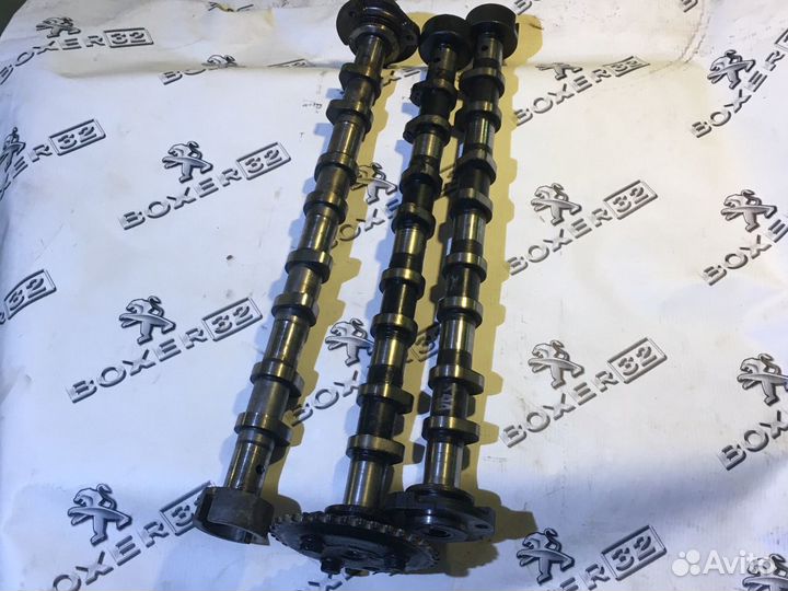 Распредвал впуск Пежо боксёр 250