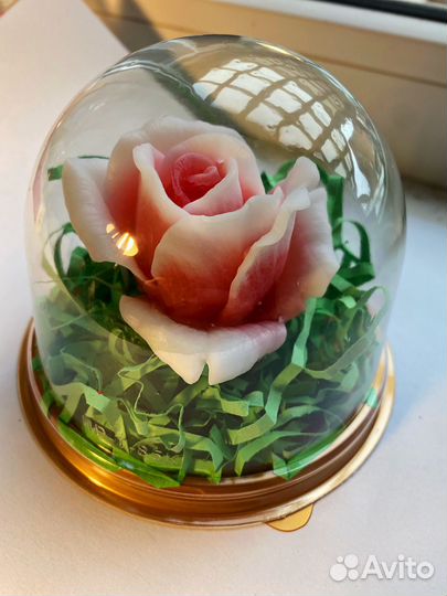 Мыльная роза в куполе