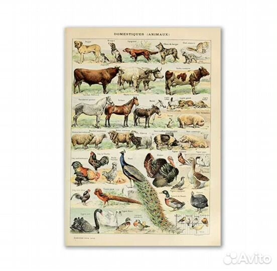 Картина на холсте