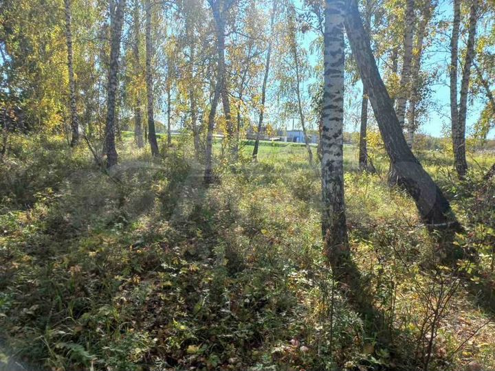 Участок 11,4 сот. (ИЖС)