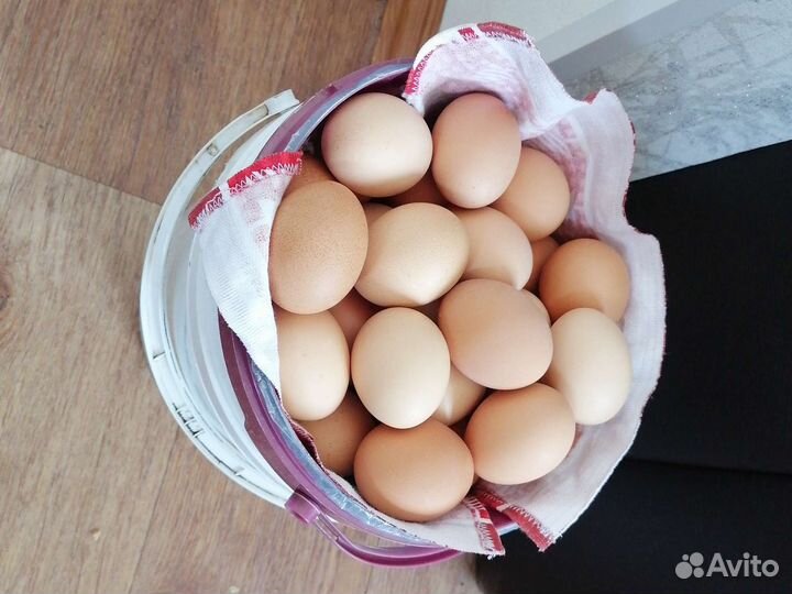 Домашние куриные яйца