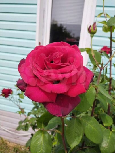 Дом 140 м² на участке 6 сот.