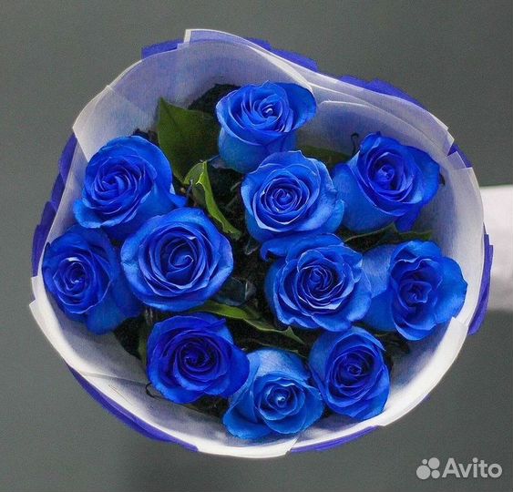 Синие розы Цветы Доставка