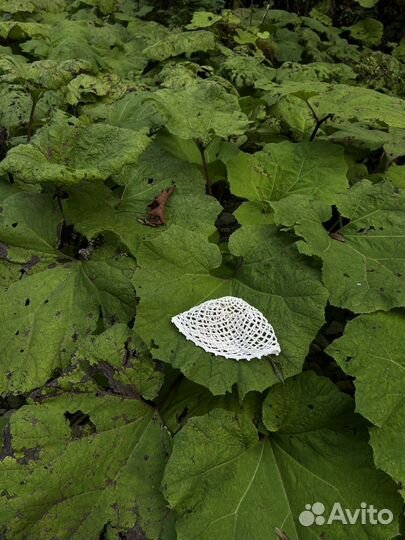 Шапочка ажурная