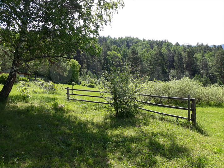 Участок 50 сот. (СНТ, ДНП)