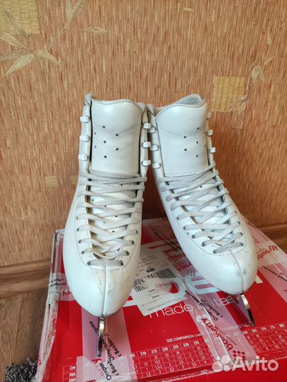 Фигурные коньки edea chorus 235