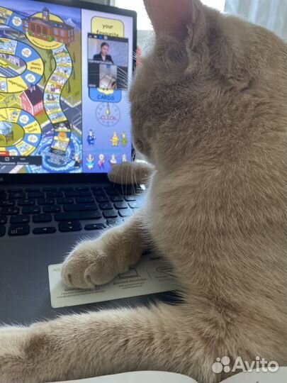 Репетитор по английскому языку