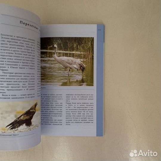 Книга «Путеводитель по Эстонии», Томас Кук