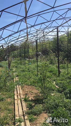 Две Теплицы металлические