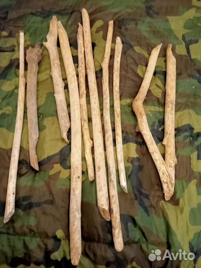 Для творчества, палочки из бобровой плотины