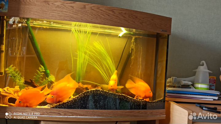 Аквариум AquaPlus 100л в сборе