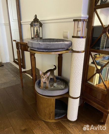 Когтеточка для кошек