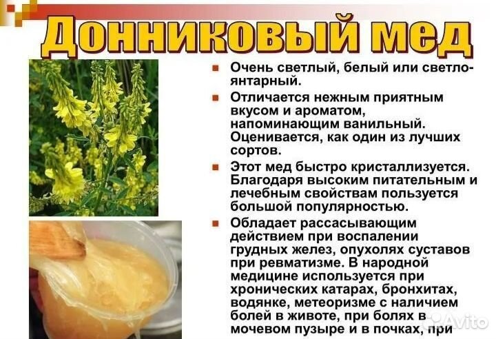 Мед с пасеки