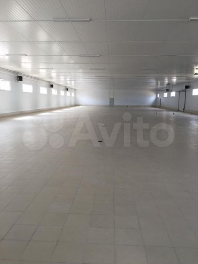 Помещение под чистое или пищевое пр-во, 1440 м²