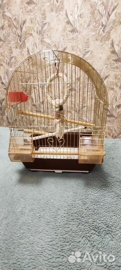 Клетка для попугая