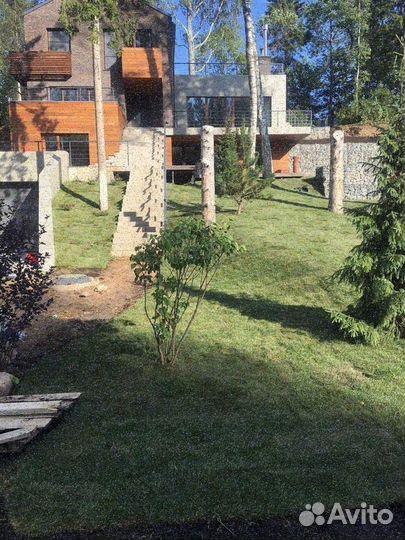 Укладка и продажа газона эконом