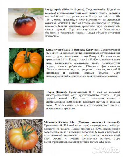 Томаты Лучшие коллекционные сорта Каталог