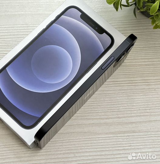 iPhone 12, 256 ГБ