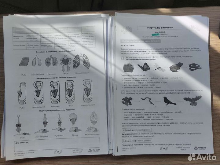 Сборник конспектов по биологии для огэ/егэ