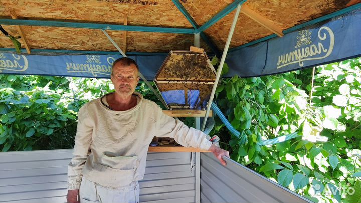 Экскурсия на пасеку