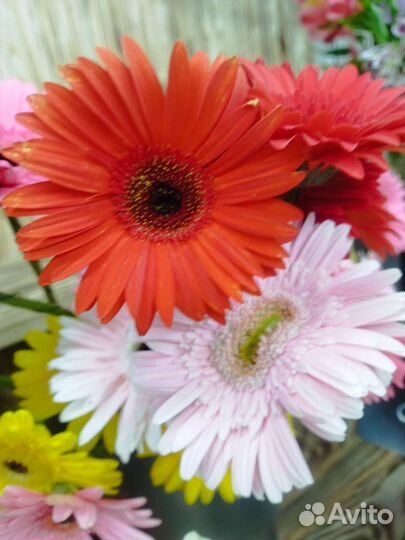 Цветы и букеты на 1 сентября