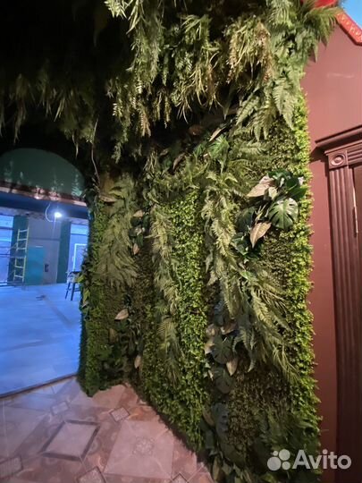 Стабилизированный мох.Озеленение. Фитостена. Ягель