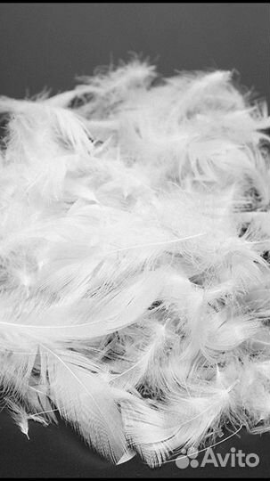 Продам пух перо
