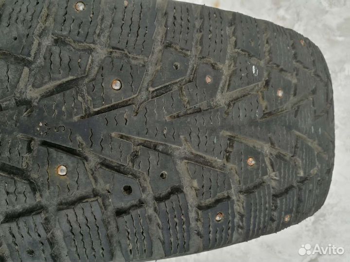 Maxxis ArcticTrekker NS3 225/60 R17