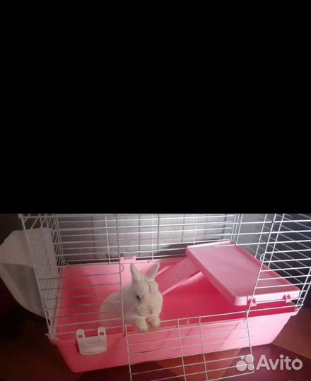 Клетки и вольеры