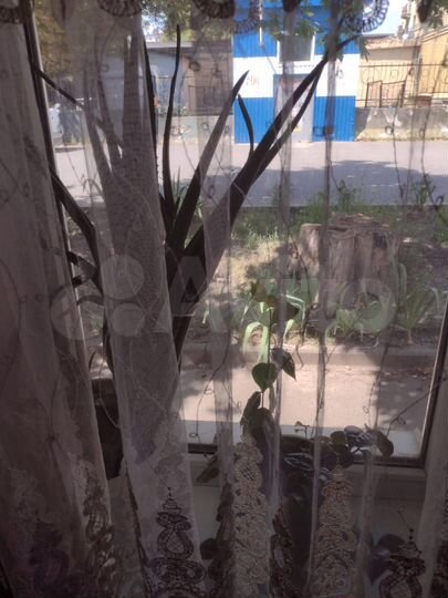 2-к. квартира, 37 м², 1/1 эт.