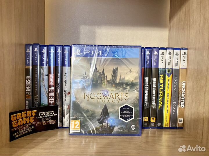 Игры PS4: Hogwarts Legacy