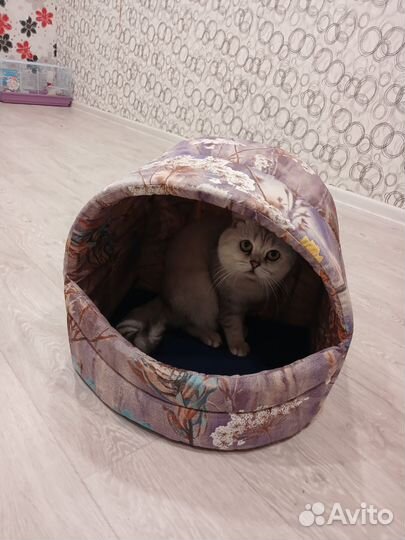 Лежанки и домики для кошек