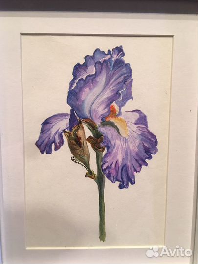 Картина акварель. Картины на заказ