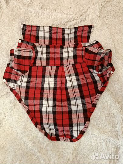 Вещи для маленьких собак