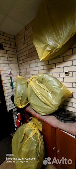 Dunlop SP Winter Maxx WM01 215/65 R16 98T