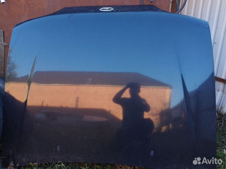 Капот и двери