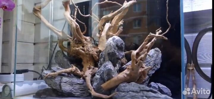 Обслуживание и Изготовление аквариума