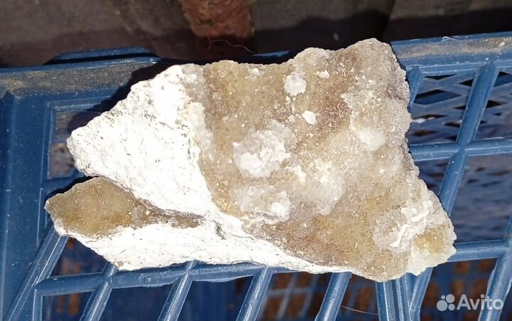 Кварцевые щетки