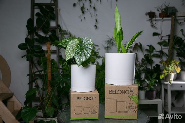 Цветочные горшки Belono cylinder