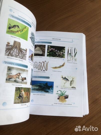 Учебник для подготовки к егэ и огэ по биологии