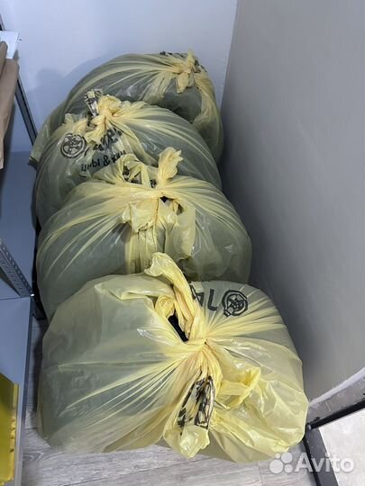 Gislaved NordFrost 100 205/55 R16