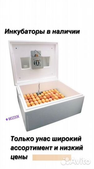 Инкубатор