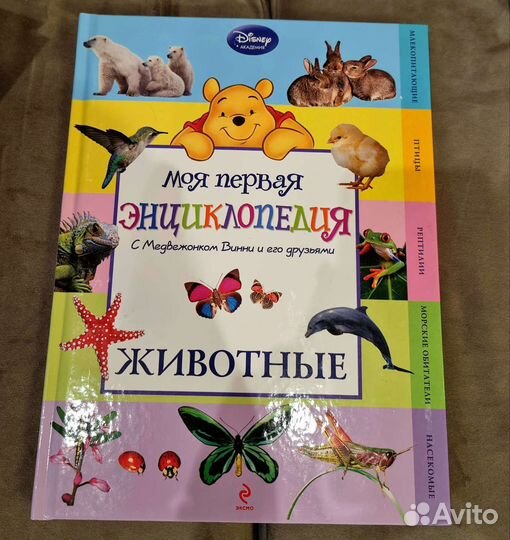 В. Сутеев В мире сказок