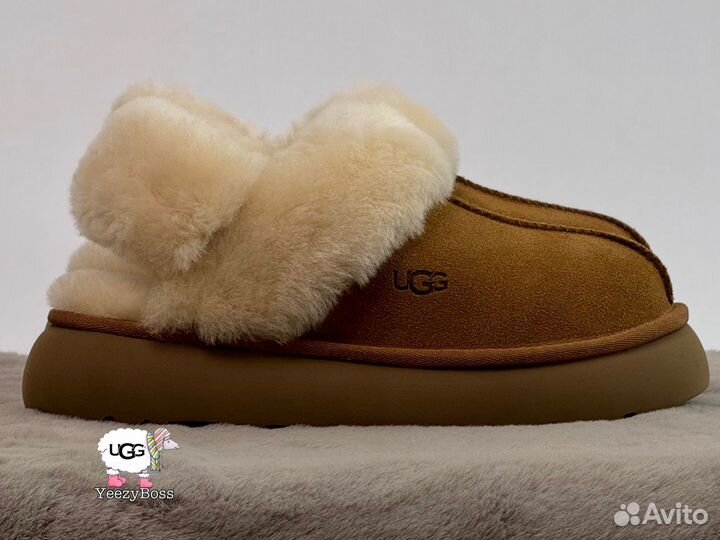 Угги тапочки женские Ugg Slippers Disquette