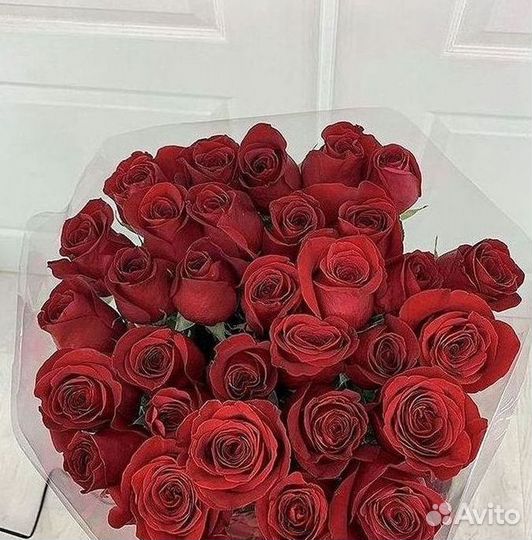 Розы гиганты 140 150 160 170 180 200